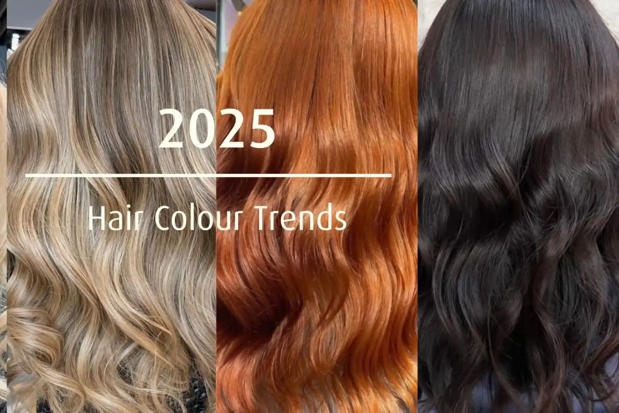 Haircare Trends for 2025 in usa